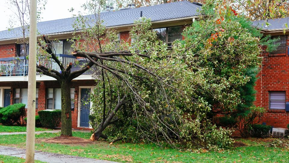 Multifamily Insurance Hurricane and Flood